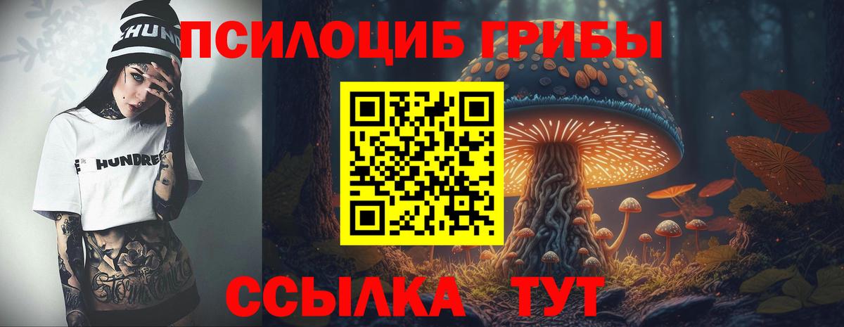 Псилоцибиновые грибы Cubensis  Галлюциногенные грибы Psilocybe  Вход с VPN  Узловая 