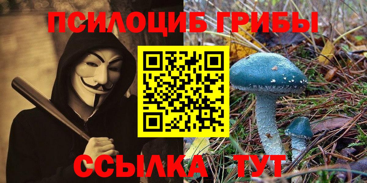 LSD-25  Гашиш  Бошки Шишки  Узловая  Меф МЯУ МЯУ   Вход с VPN 